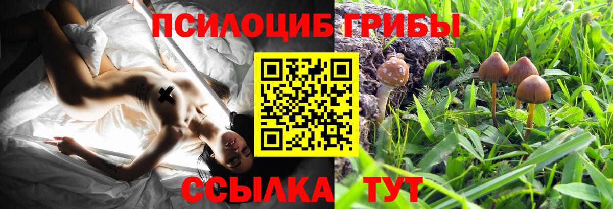 Галлюциногенные грибы Cubensis  Вход с VPN  Джанкой 